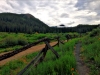 Hiking in Breckenridge, Colorado 