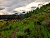 Hiking in Breckenridge, Colorado 