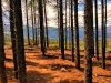 Hiking in Breckenridge, Colorado 