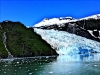  Sights from Glacier Cruise with Phillips Cruises and Tours 