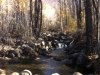 Listen to roaring waters as you climb up Hunter Creek 