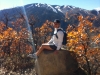 Hiking Hunter Creek in Aspen