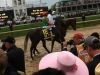 Crowds Watch Races at  Kentucky Derby in Louisville, KY 