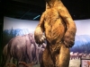 Mammoths & Mastdons at Denver Museum of Nature and Science 