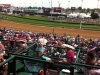 Crowds Cheer at Oaks 2013