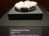 A carbonized loaf of bread was preserved after the eruption of Vesuvius.