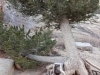 Hike for discovery in Rocky Mountain National Park with guides from Kirks Mountain Adventures. 