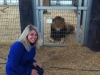 Carri Wilbanks meeting lions rescued from Zanesville, Ohio. 