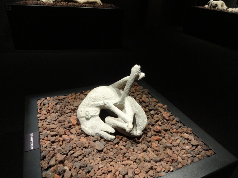 The largest display is the most unnerving: a collection of body casts. The figures are molds that were made by pouring plaster into impressions left in the hardened lava.
