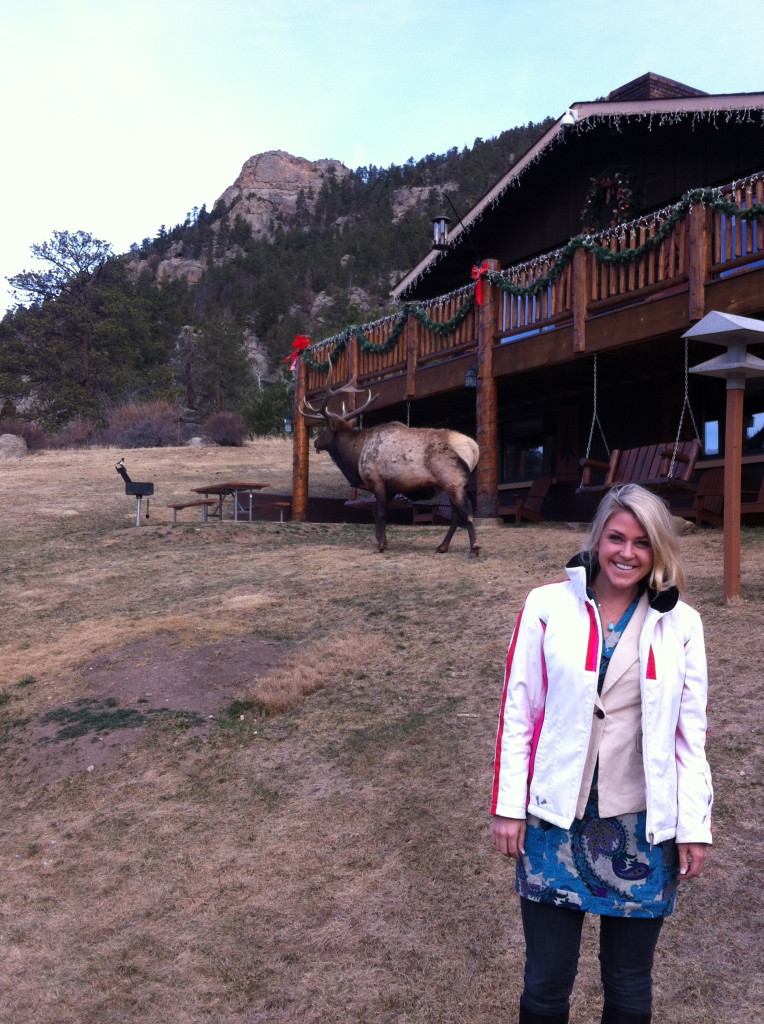 Chances are you will meet Lefty, the elk who has made McGregor Mountain Lodge his own home.
