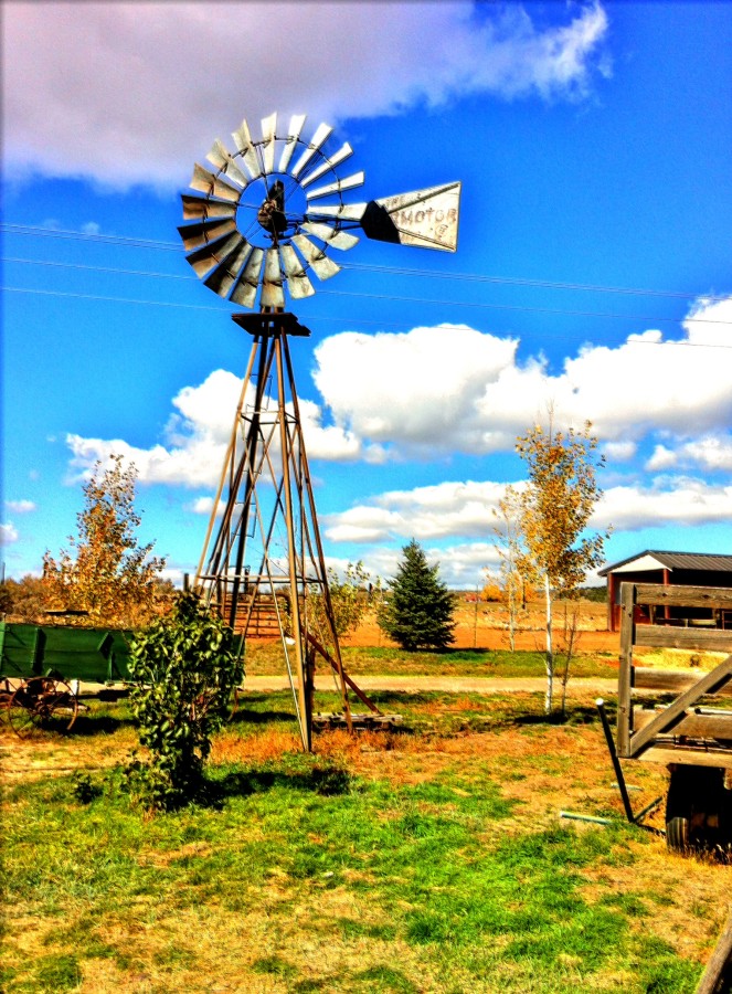 Carbondale's Milagro Ranch Making Headway - Catch Carri: Travel Guides ...