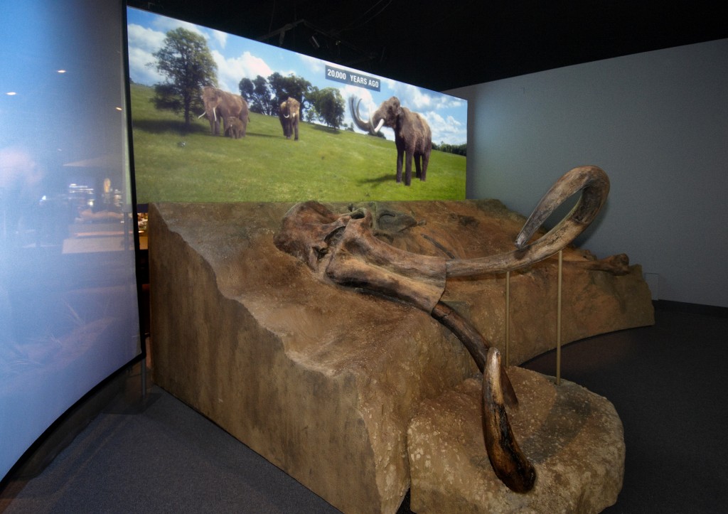 Mammoths and Mastodons: Titans of the Ice Age takes visitors on a journey back to the time when these huge creatures roamed the Earth. A time-lapse animation transports visitors from the present to the ancient past. The exhibition is on display at the Denver Museum of Nature & Science beginning February 15, 2013.