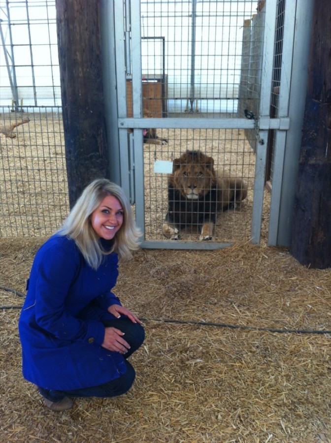The Bolivian Lion House is also home to four lions rescued from Zanesville, Ohio when nearly 50 exotic animals were freed.
