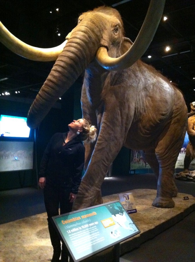 Mammoths & Mastdons at Denver Museum of Nature and Science