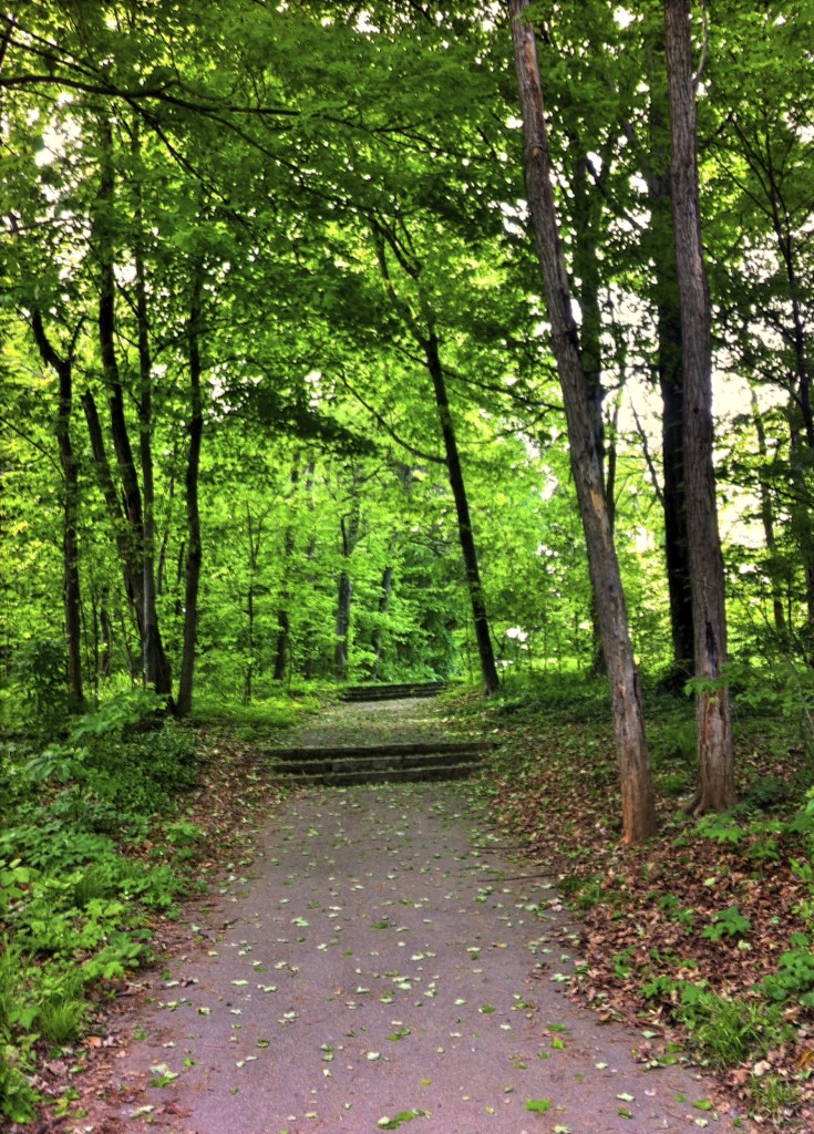 A walk through Cherokee Park, designed by Frank Olmsted.