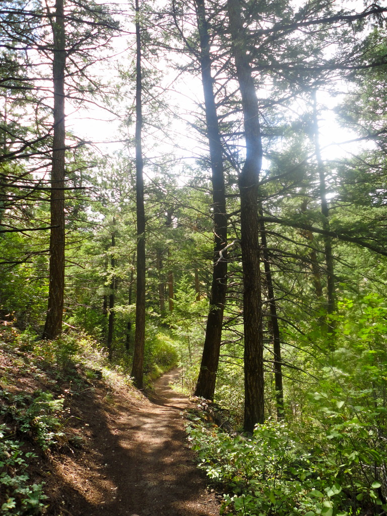 8 trail options totaling 9.1 miles throughout Apex Trail keep hikers coming back.