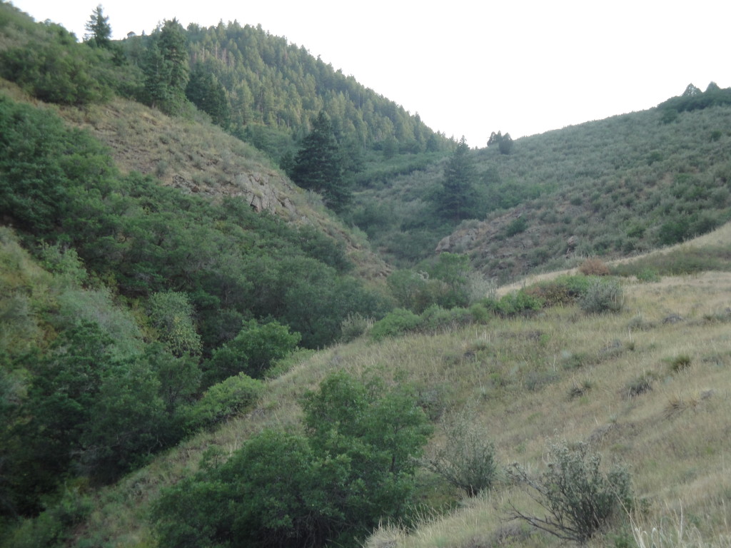 Find trails for every level hiker at Deer Creek Canyon with grandiose sights of Deer Creek Canyon