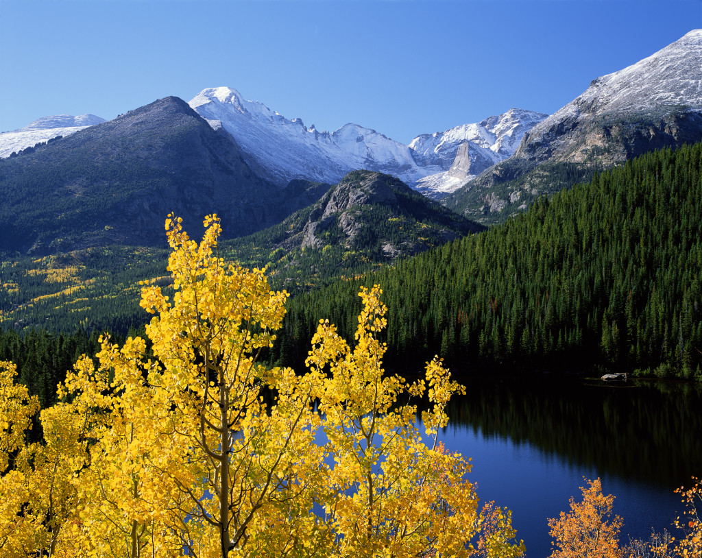 Estes Park Celebrates Elk Fest Amid Flood Recovery - Catch Carri ...