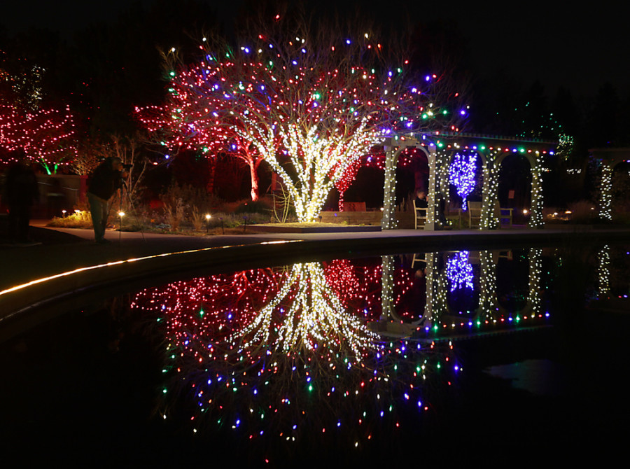 Embrace the Holidays at Denver Botanic Gardens’ Blossoms of Light