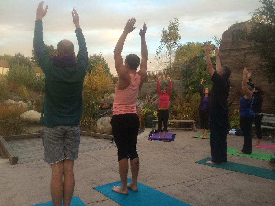 Evening Vinyasa Yoga at Denver Botanic Gardens 