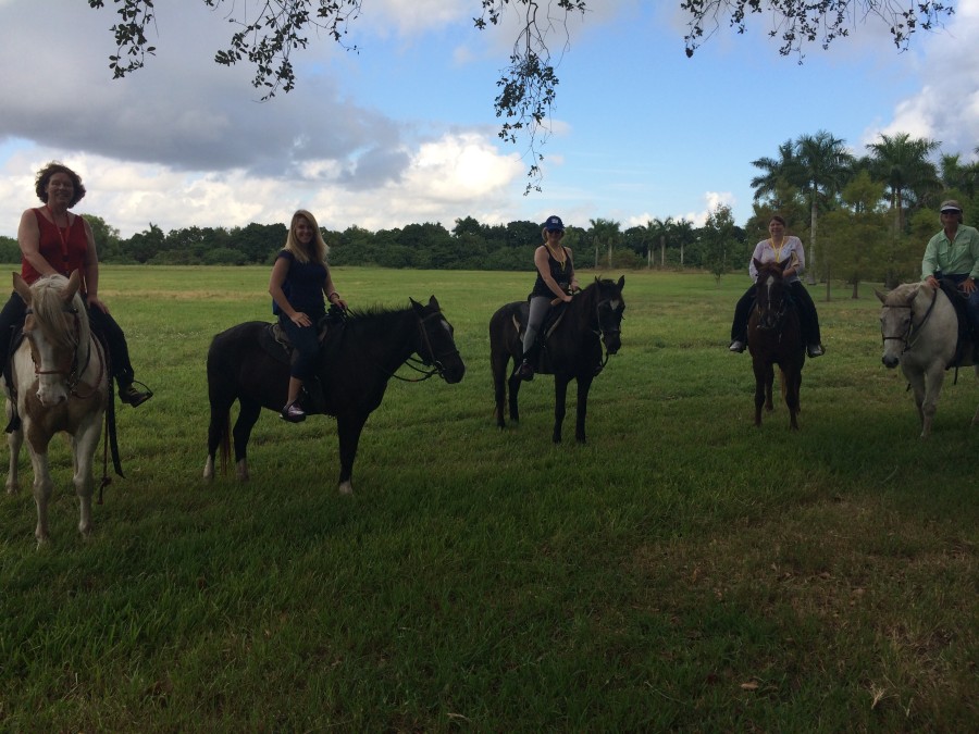 Horseback at Bar-B Ranch