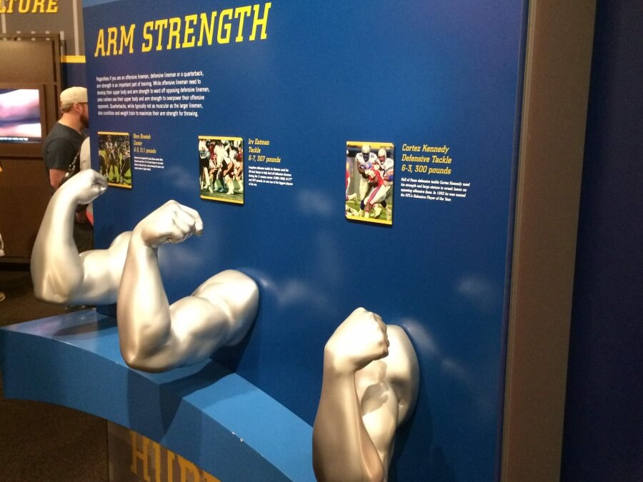 Pro Football Hall Of Fame biceps