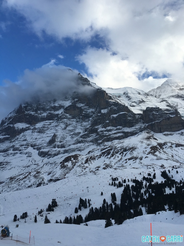 Complete Travel Guide: Grindelwald, Jungfrau Region - Catch Carri ...