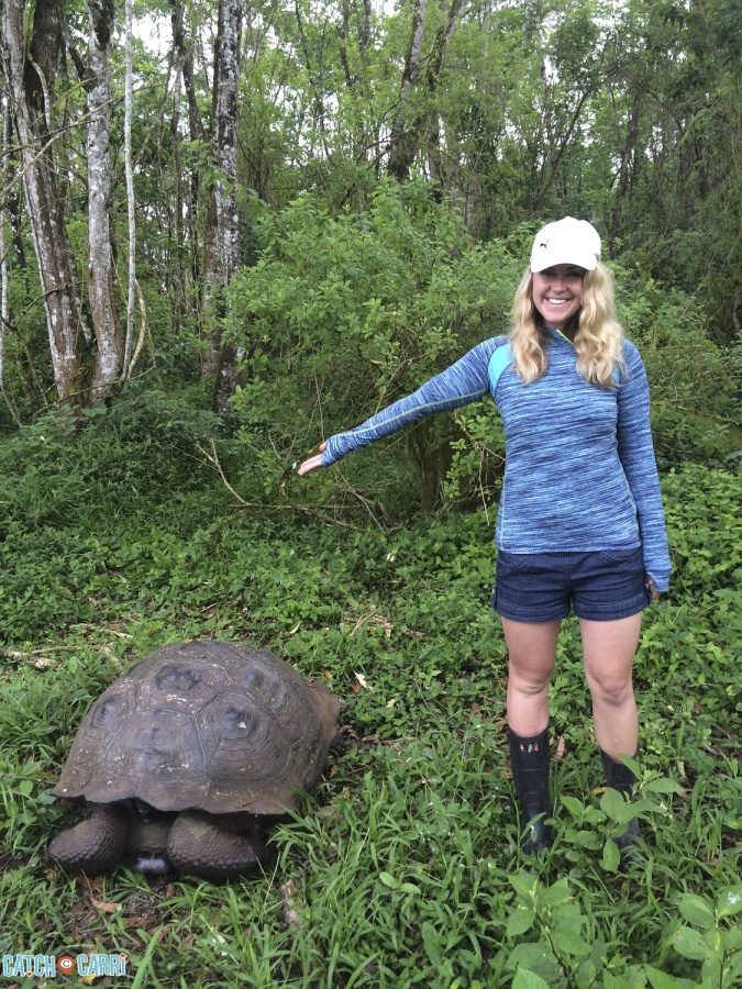 Tortoise Reserve Galapagos