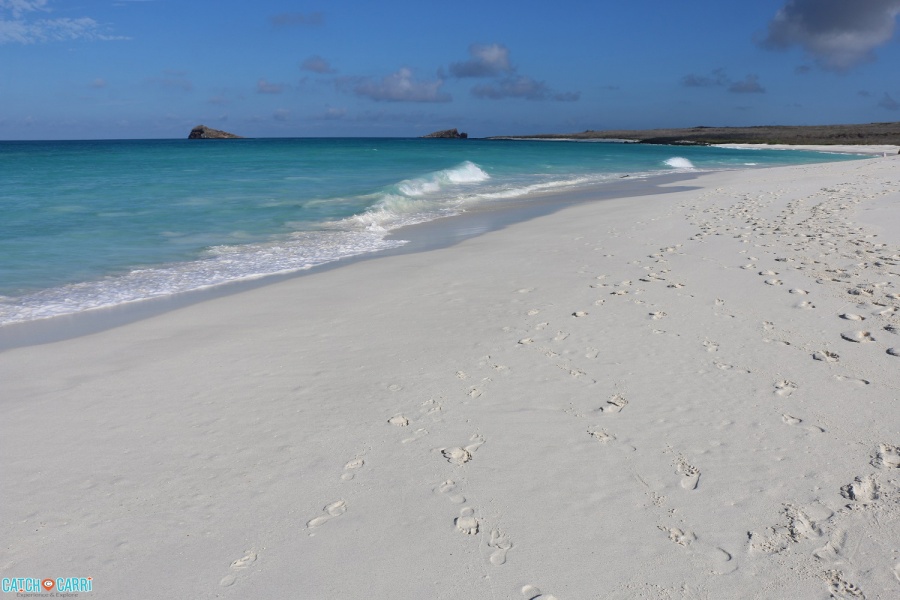 White Sand Beaches Galapagos