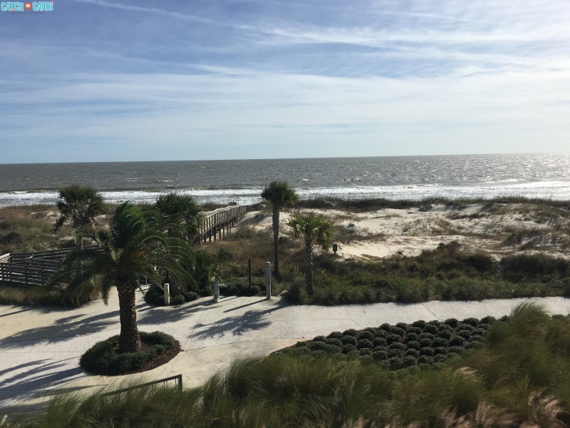 Things to Do and See in Jekyll Island - Catch Carri: Travel Guides ...