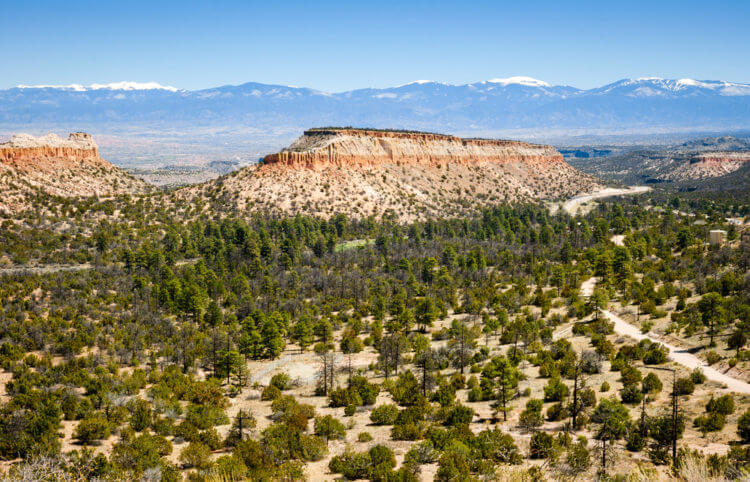 Exploring Los Alamos, New Mexico - Catch Carri: Travel Guides & Local 